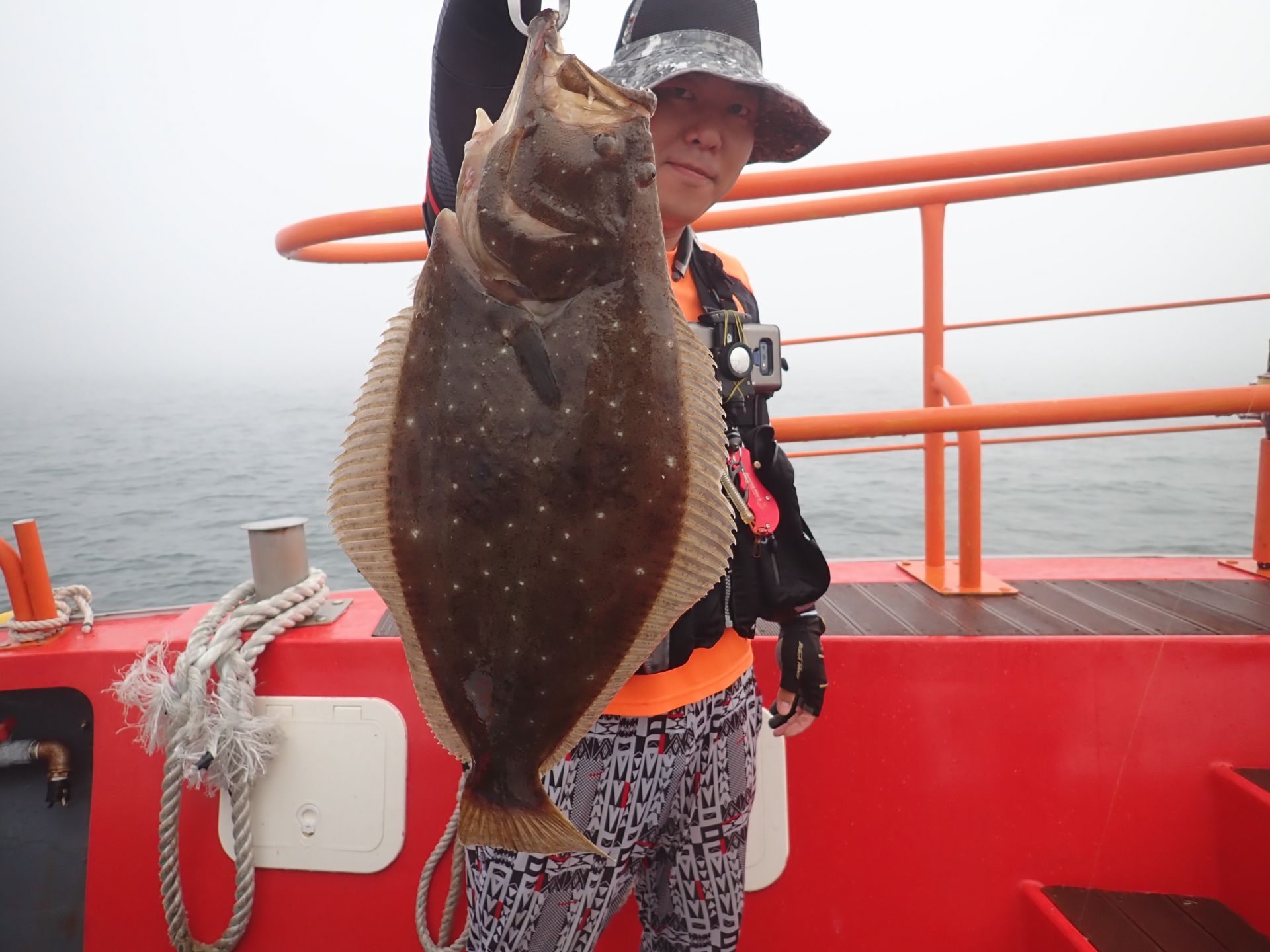 2019년07월02일 외수질