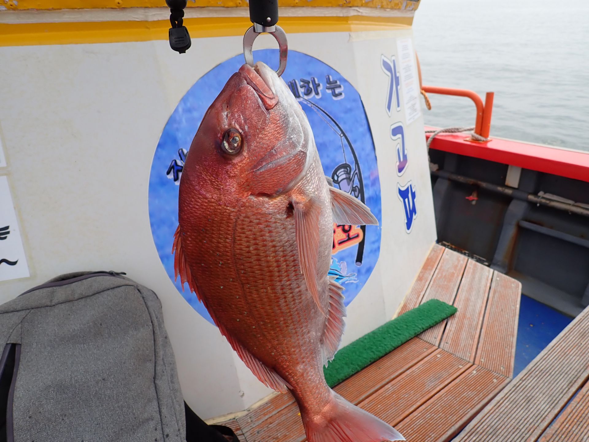 2019년08월21일 조업출조