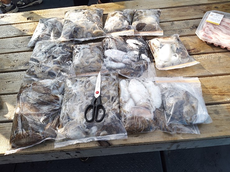 해상1호 09월27 주꾸미출조