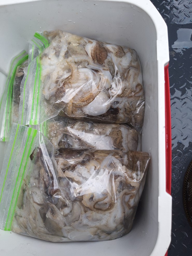 해상1호 9월20일 주꾸미출조