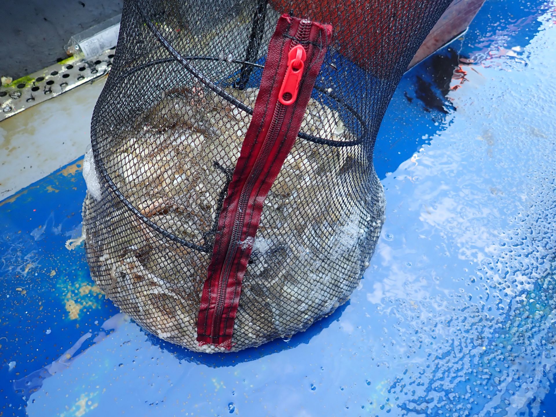 2019년09월27일 주꾸미출조