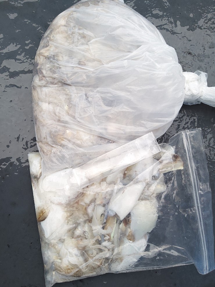 해상1호  9월25일 주꾸미출조