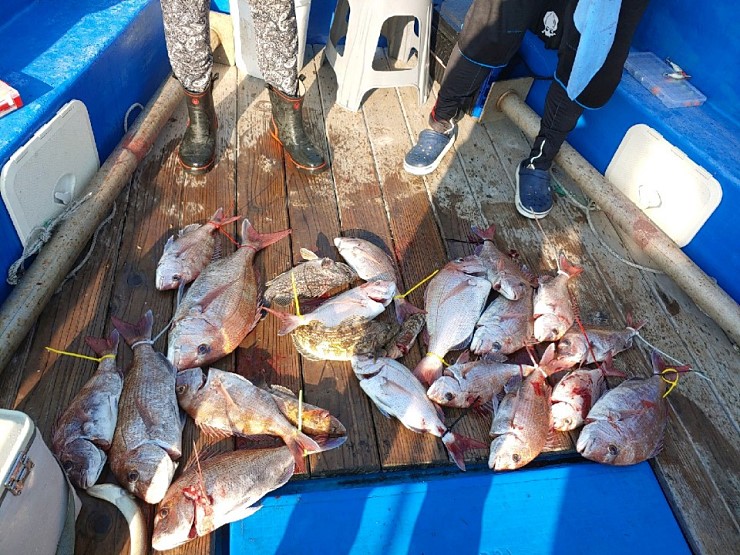 라이트호 09월29일 참돔출조