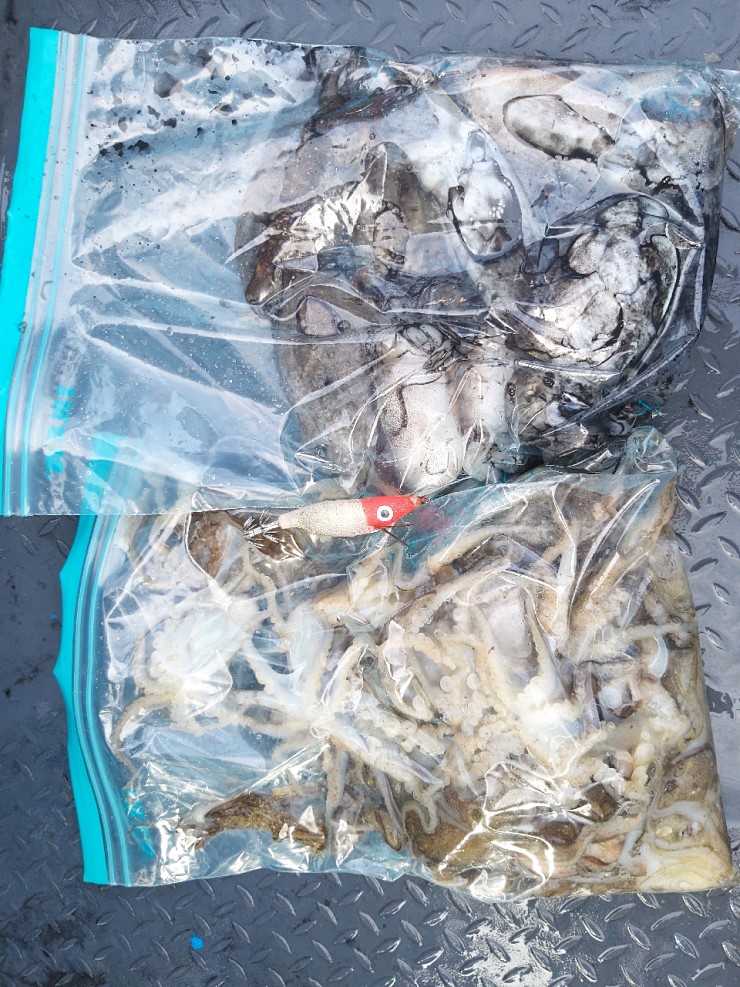 해상1호 09월28일 주꾸미출조