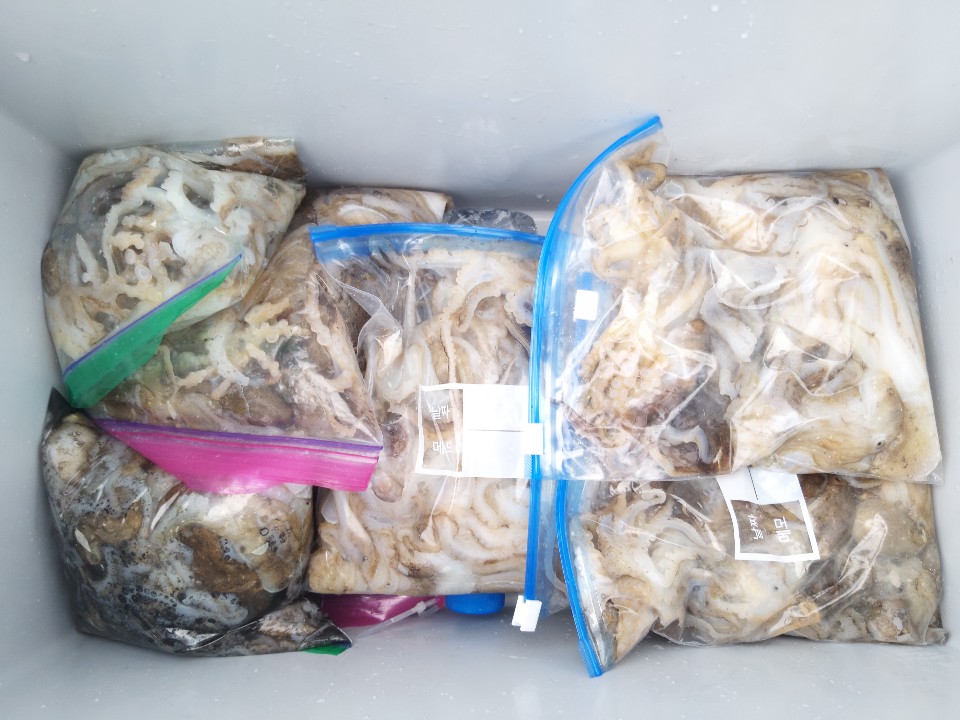 ■■ 해상1호 ■■ 2019.9.8일  쭈꾸미