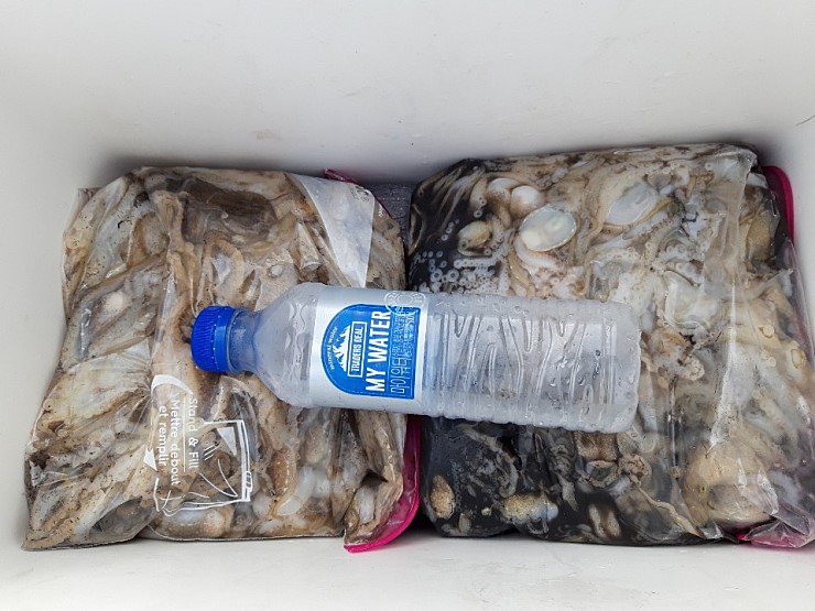 해상1호 9월12일 주꾸미출조