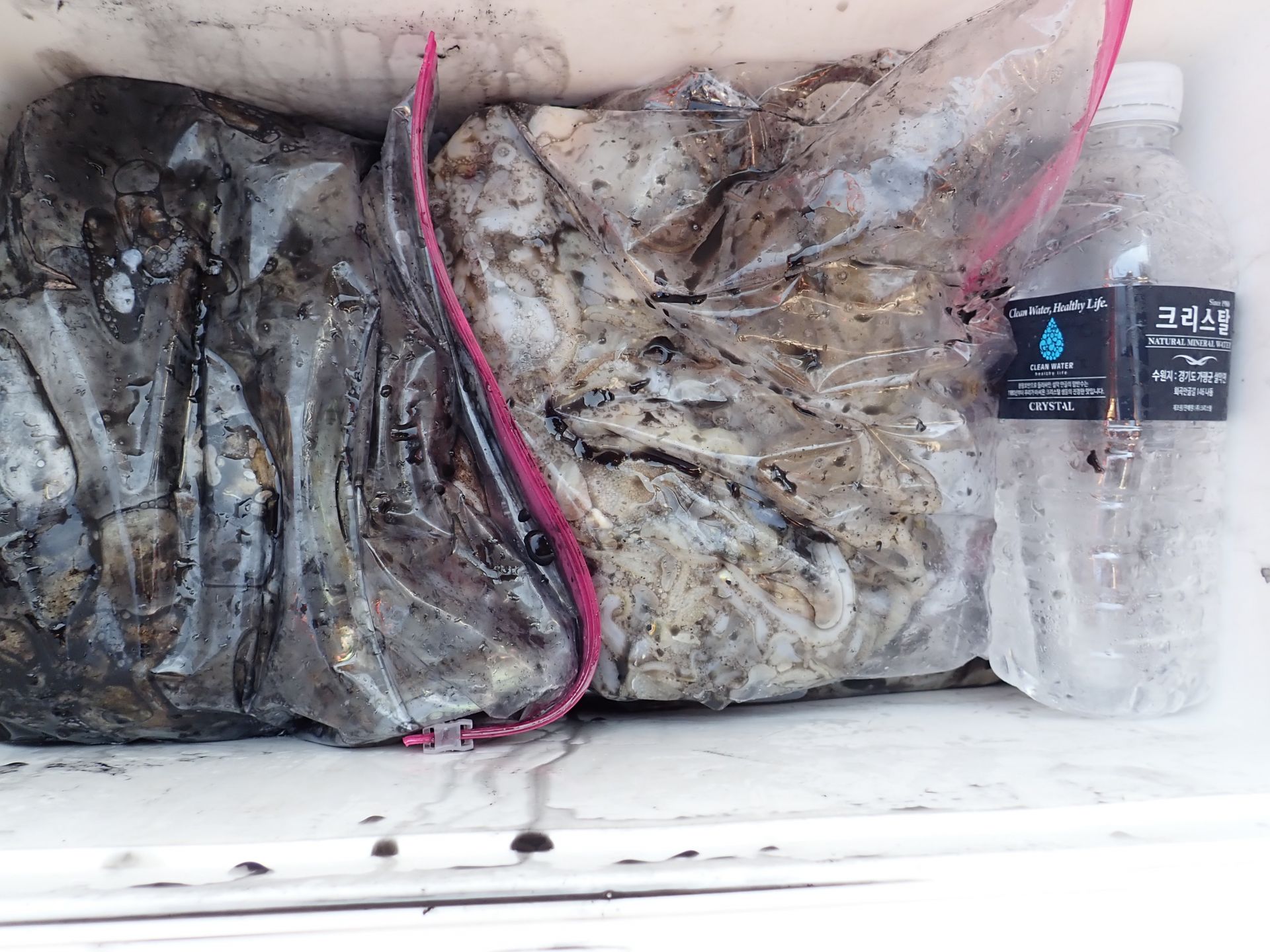 2019년09월29일 주꾸미출조