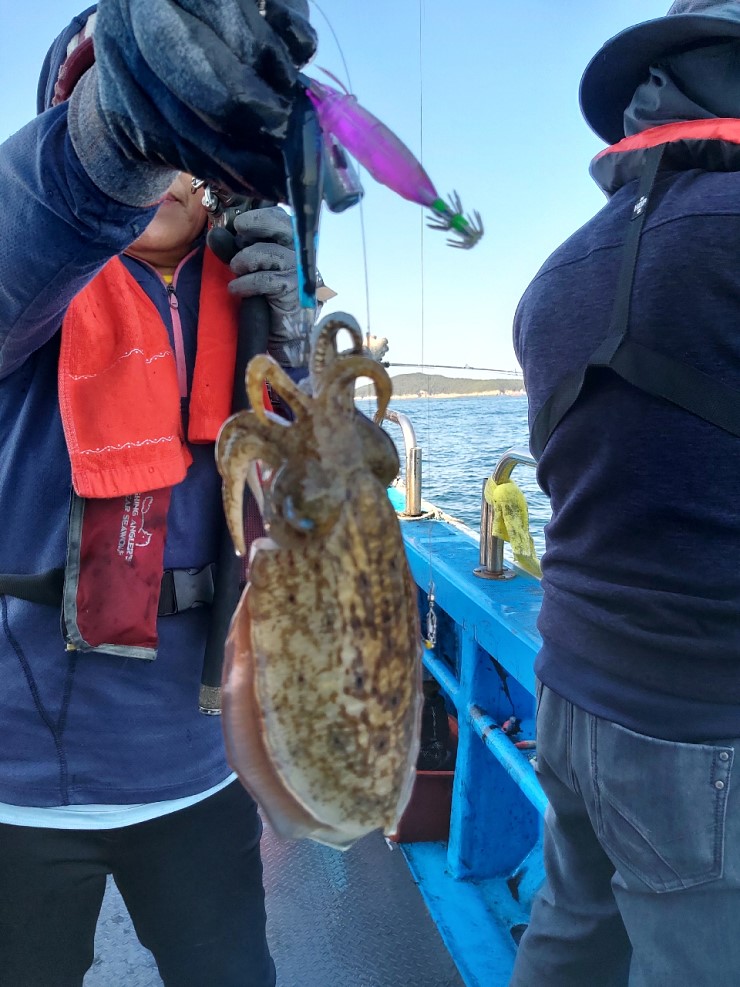 해상1호 10월22일 주꾸미출조