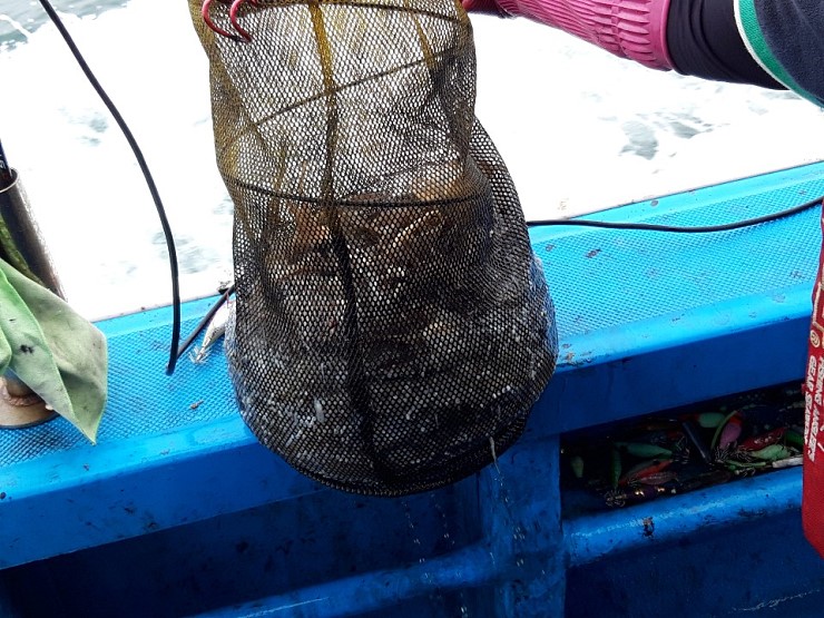 해상1호 10월06일 주꾸미출조