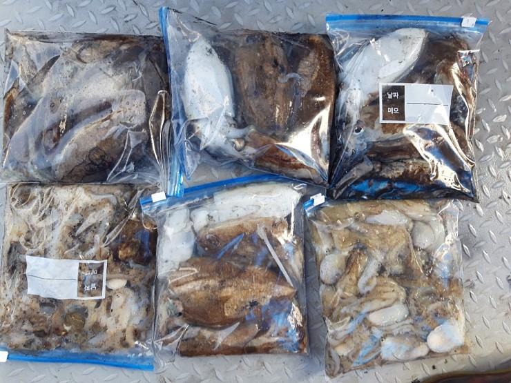 해상1호 10월04일 주꾸미출조