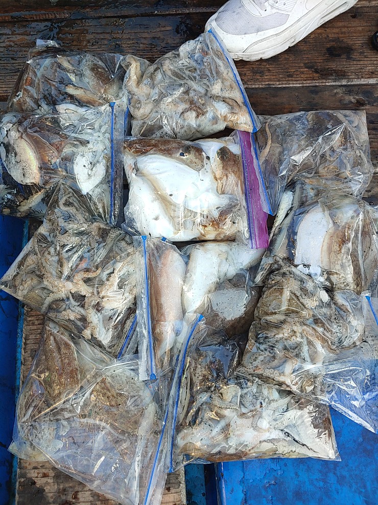 라이트호 10월27일 주꾸미출조