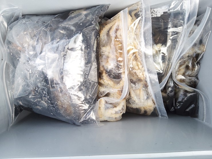 해상1호 10월10일 주꾸미출조