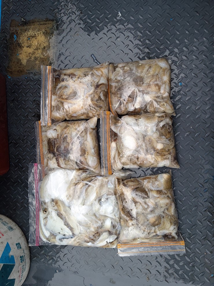 해상1호 10월07일 주꾸미출조