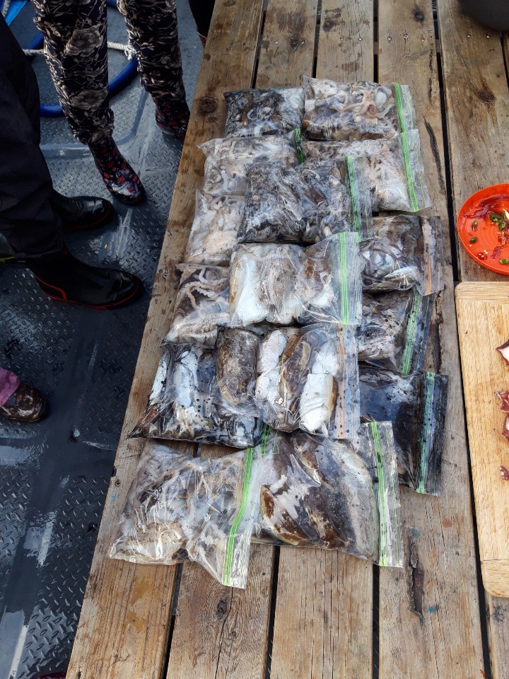 해상1호 10월05일 주꾸미출조