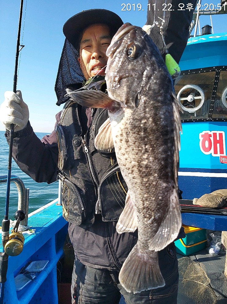 해상1호 11월22일 우럭출조