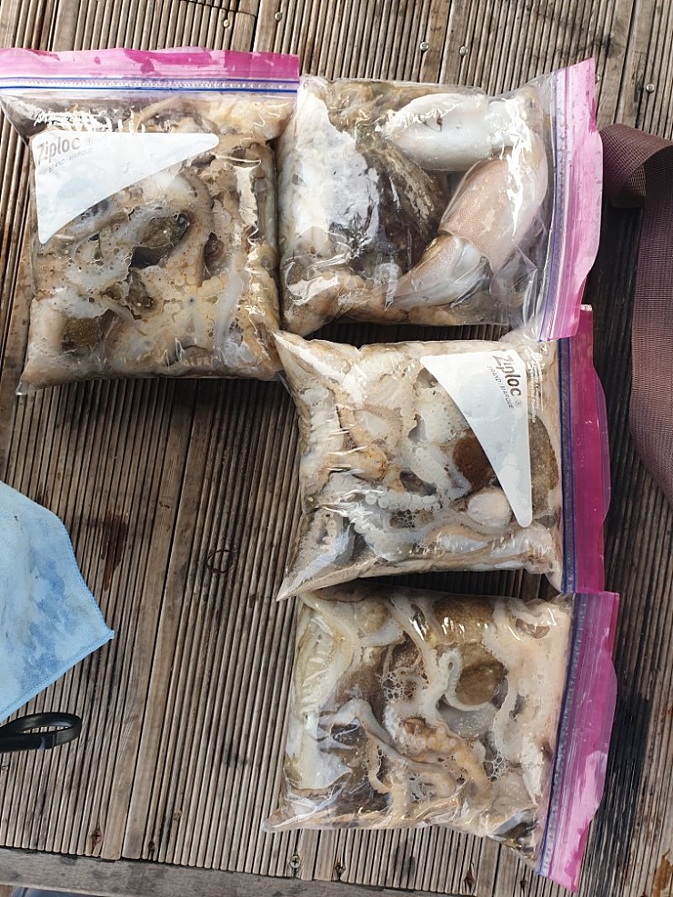 라이트호 11월02일 주꾸미출조