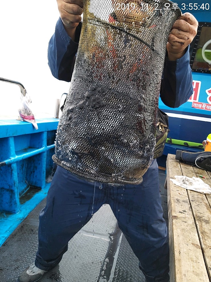 해상1호 11월02일 주꾸미출조