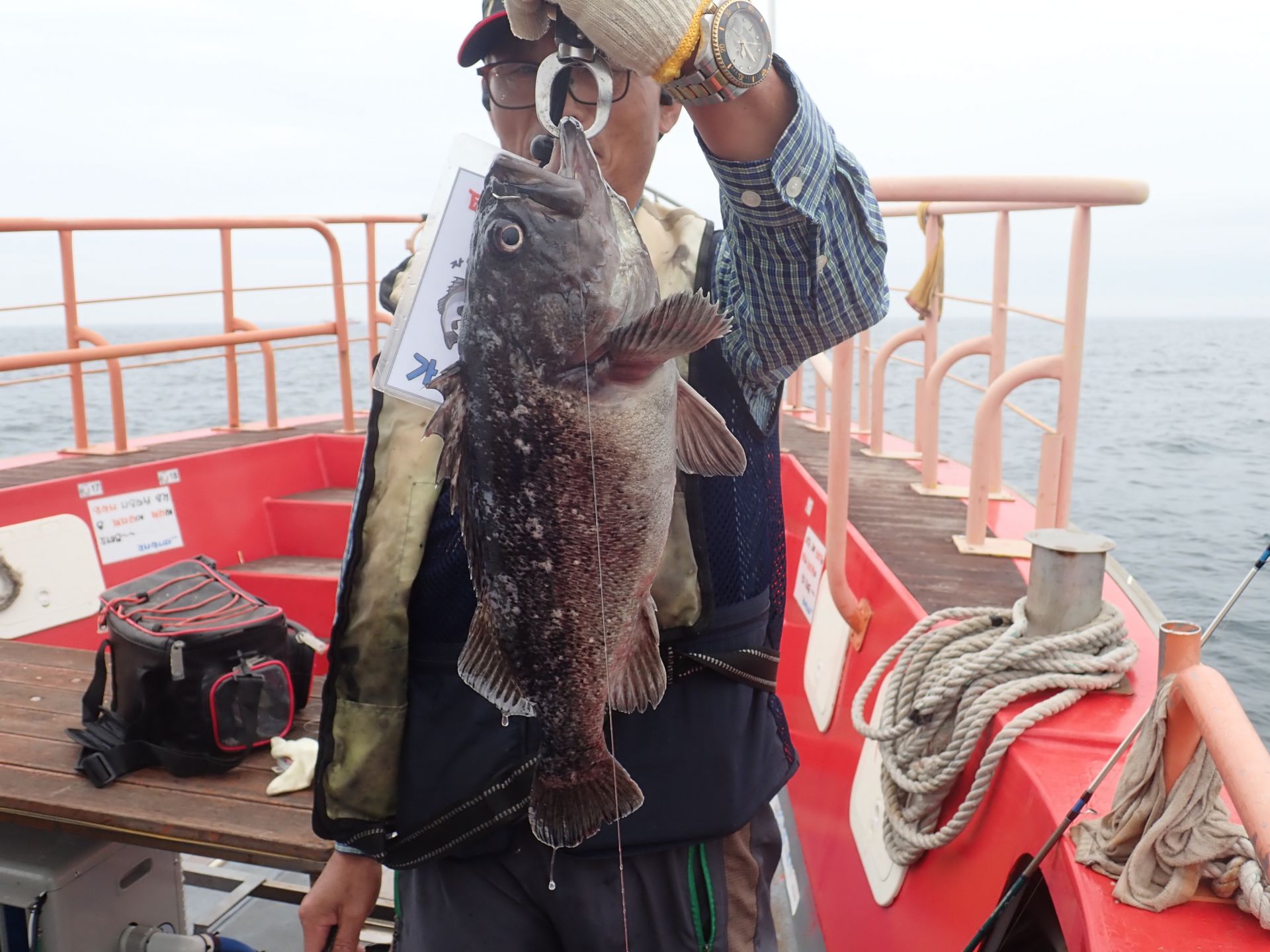 2020년06월14일 다운샷출조