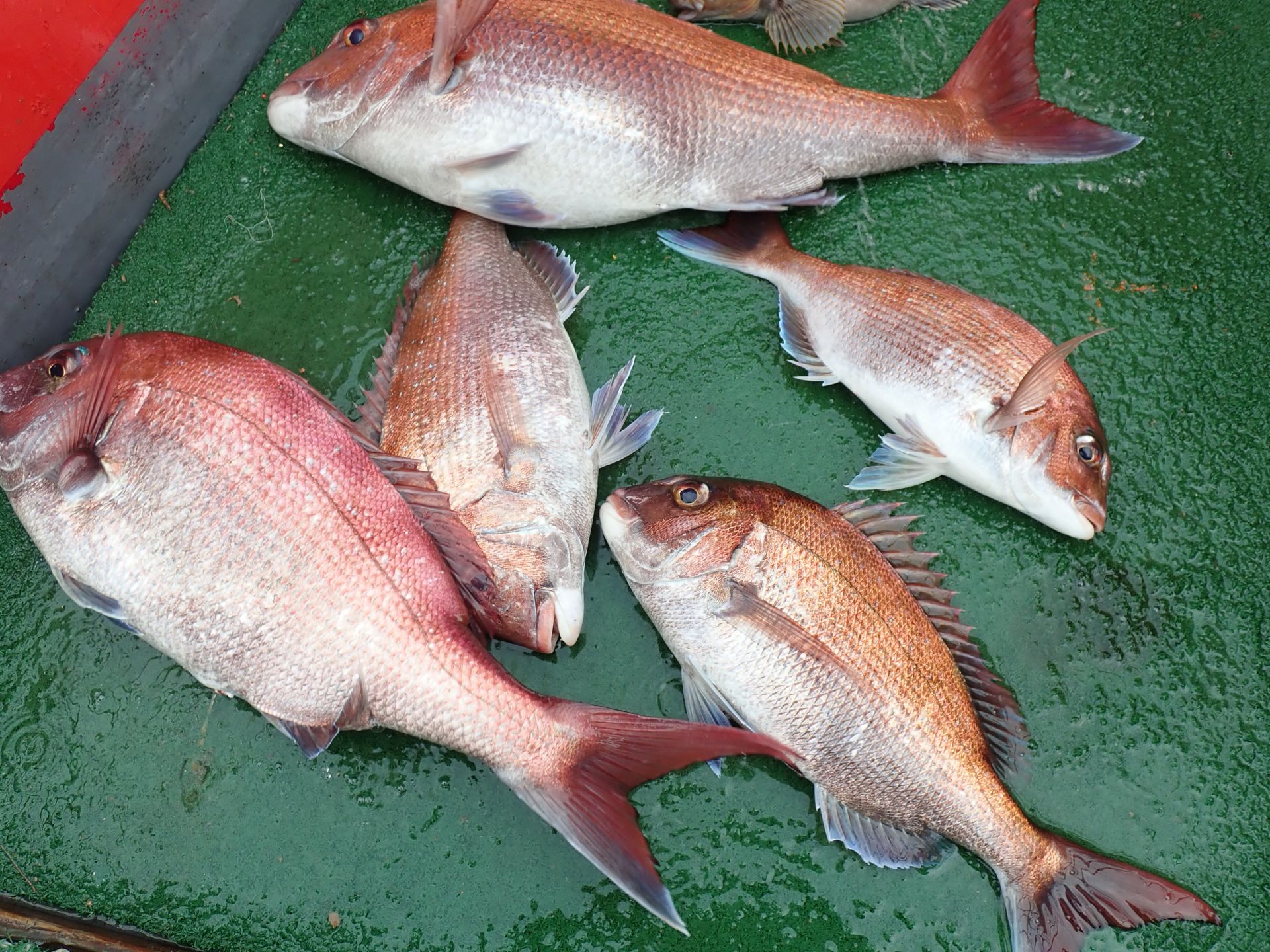 2020녕07월05일, 07일