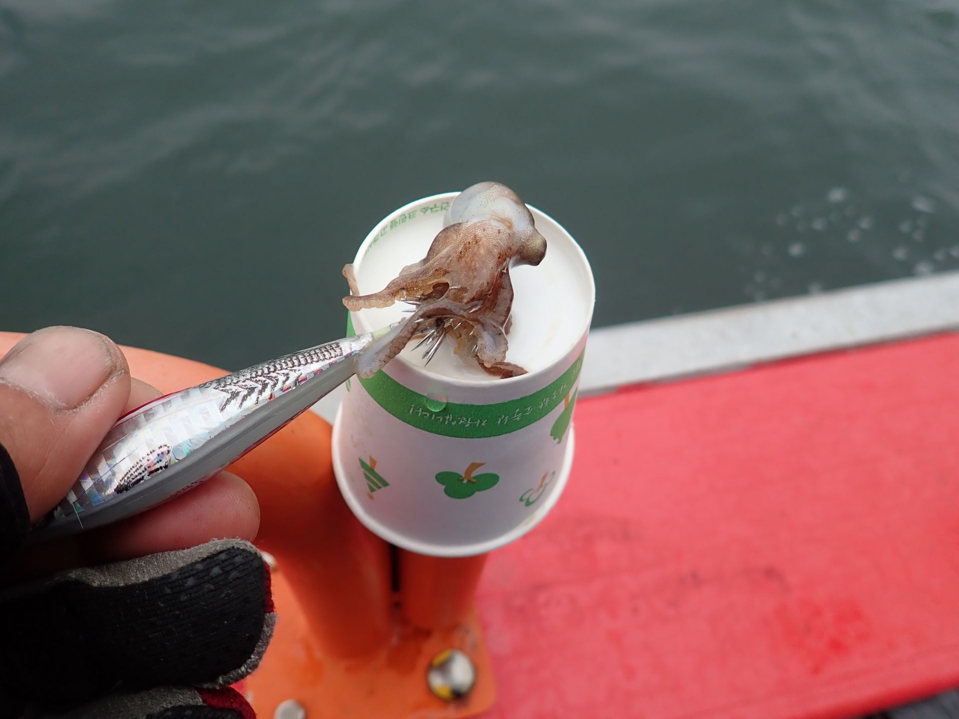 2020년09월01일 주꾸미출조