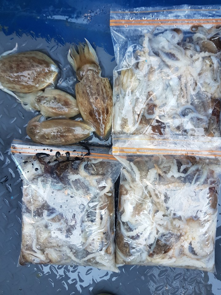 2020년09월13일 해상1호 주꾸미출조