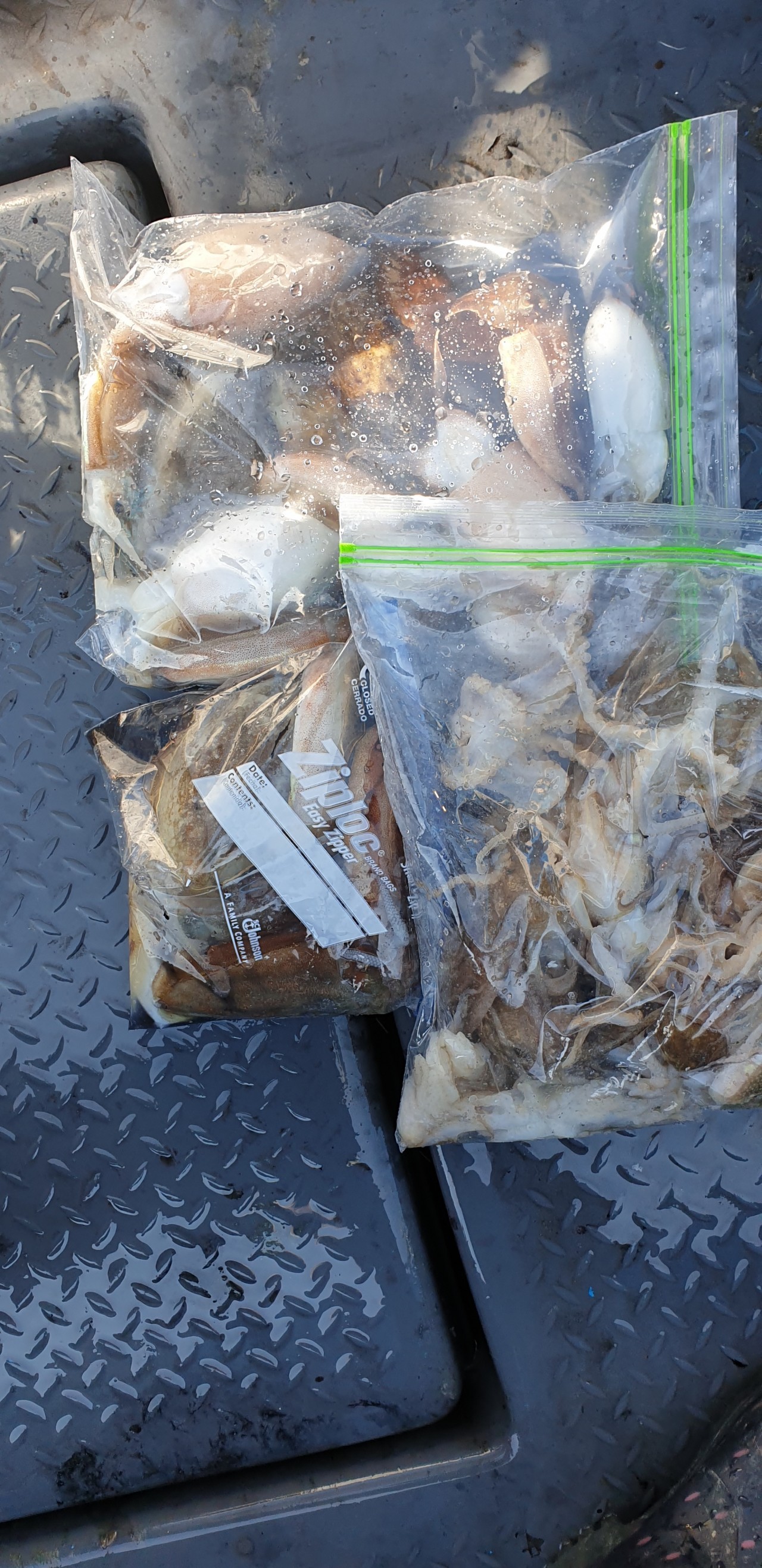 해상1호 9월19일 주꾸미출조