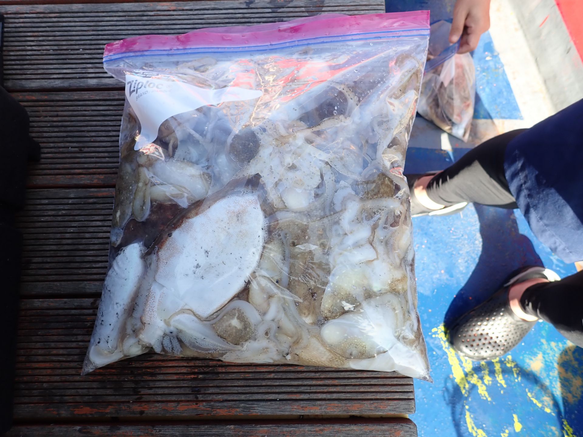 2020년09월19일 주꾸미출조