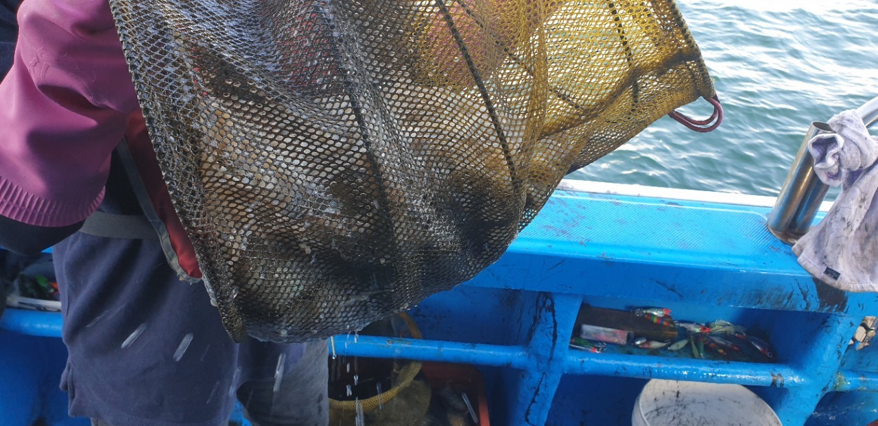 해상1호 09월24일 주꾸미출조