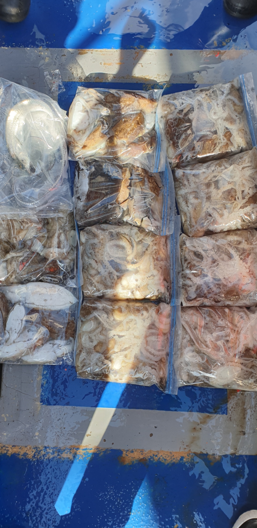 2020년09월14일 주꾸미출조