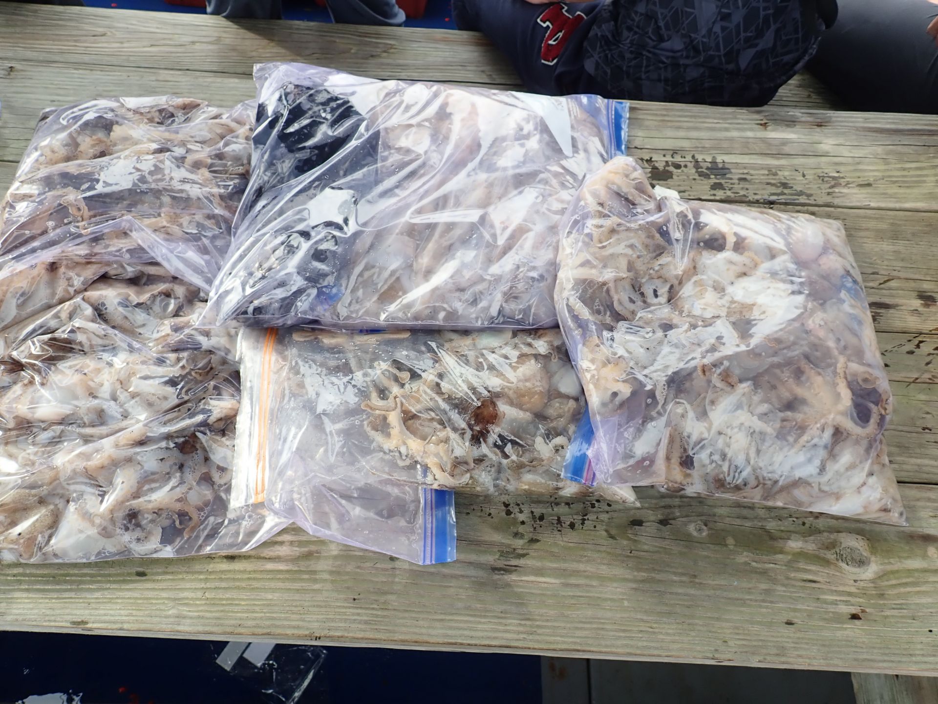 2020년09월15일 주꾸미출조