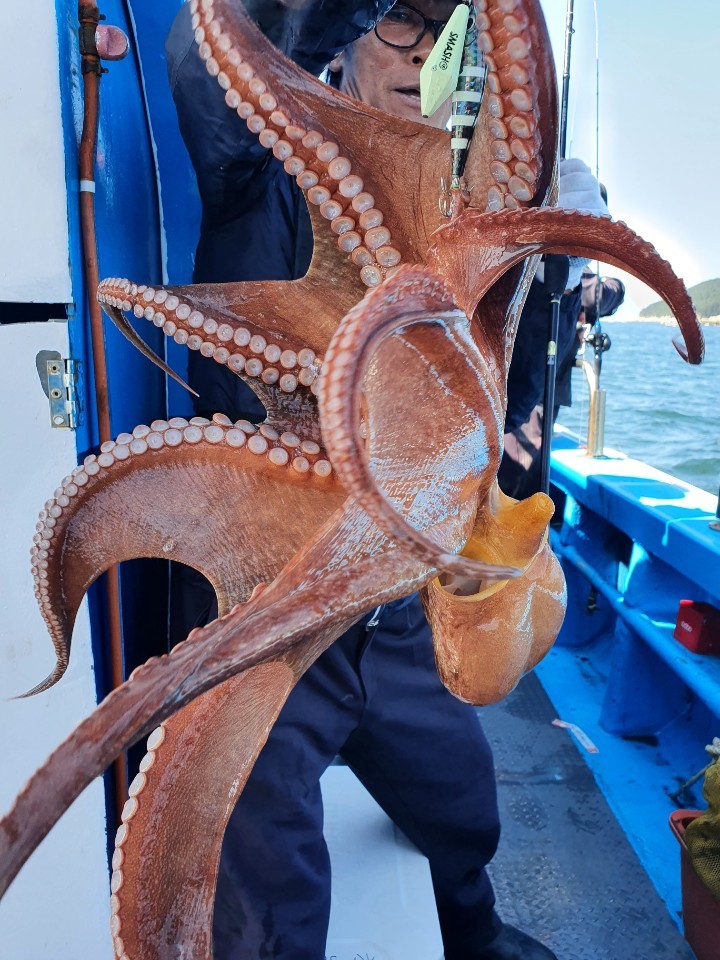 해상1호 09월26 주꾸미출조