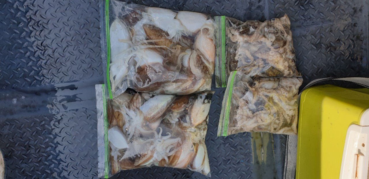 해상1호 10월15일 주꾸미출조