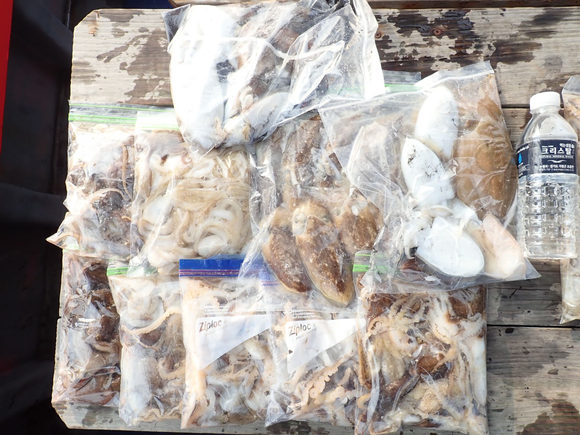 2020년10월12일 주꾸미출조