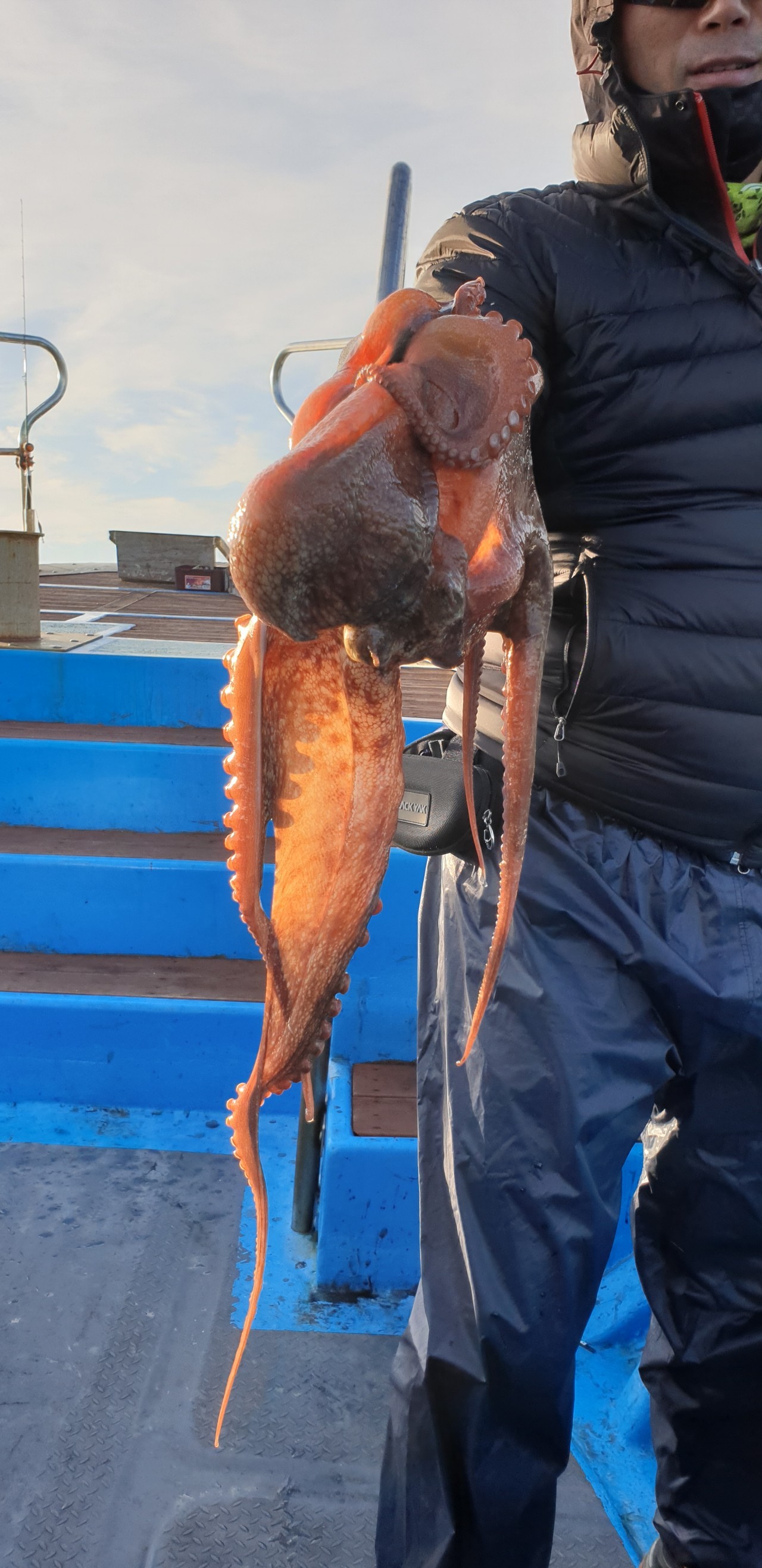 해상1호 10월29일 주꾸미출조