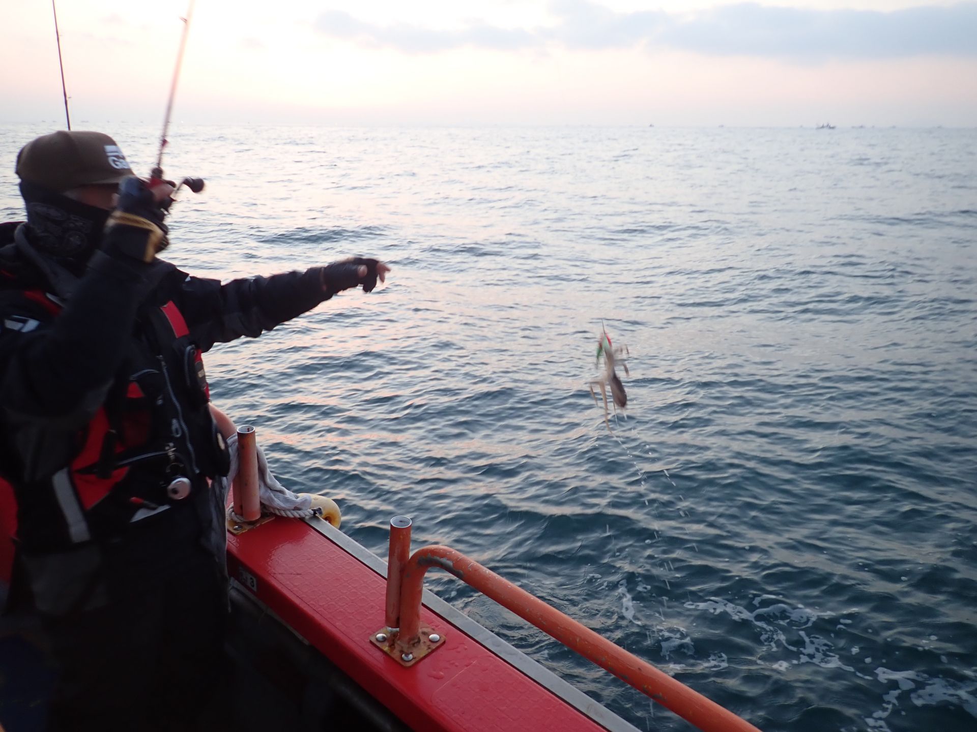 2020년11월21일 주꾸미출조