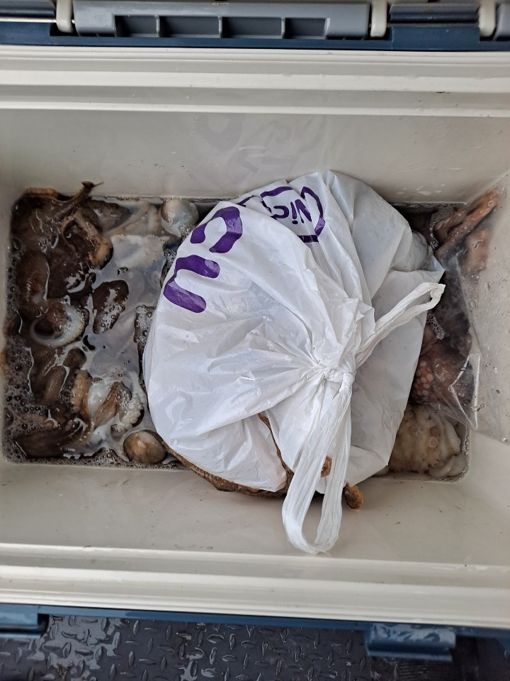 해상1호 11월22일 주꾸미출조