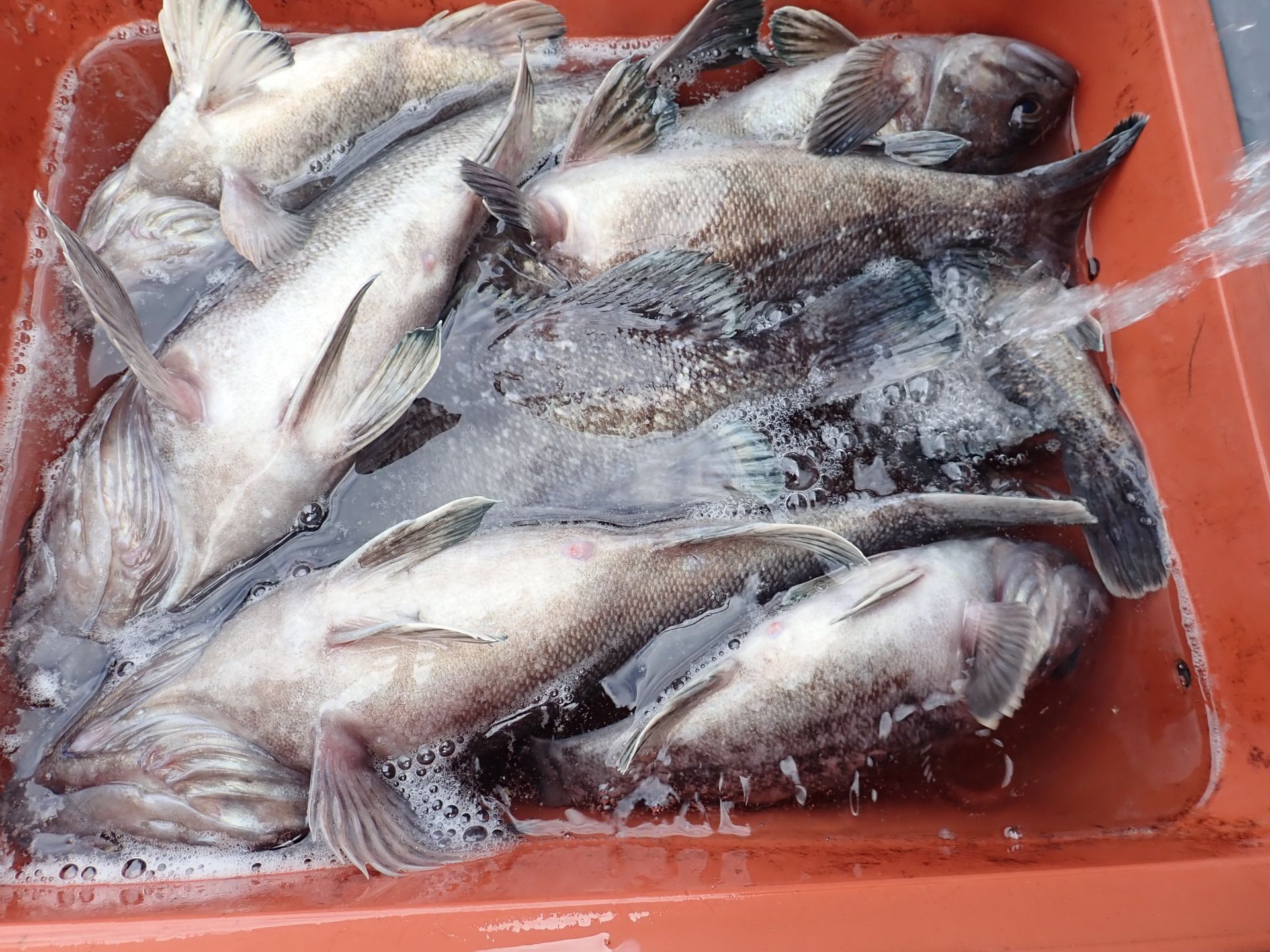 2021년04월22일 조업출조