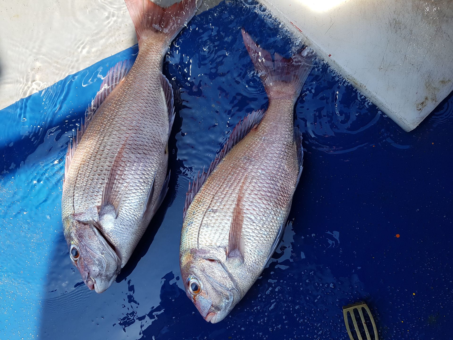 2021년06월11일 조업출조