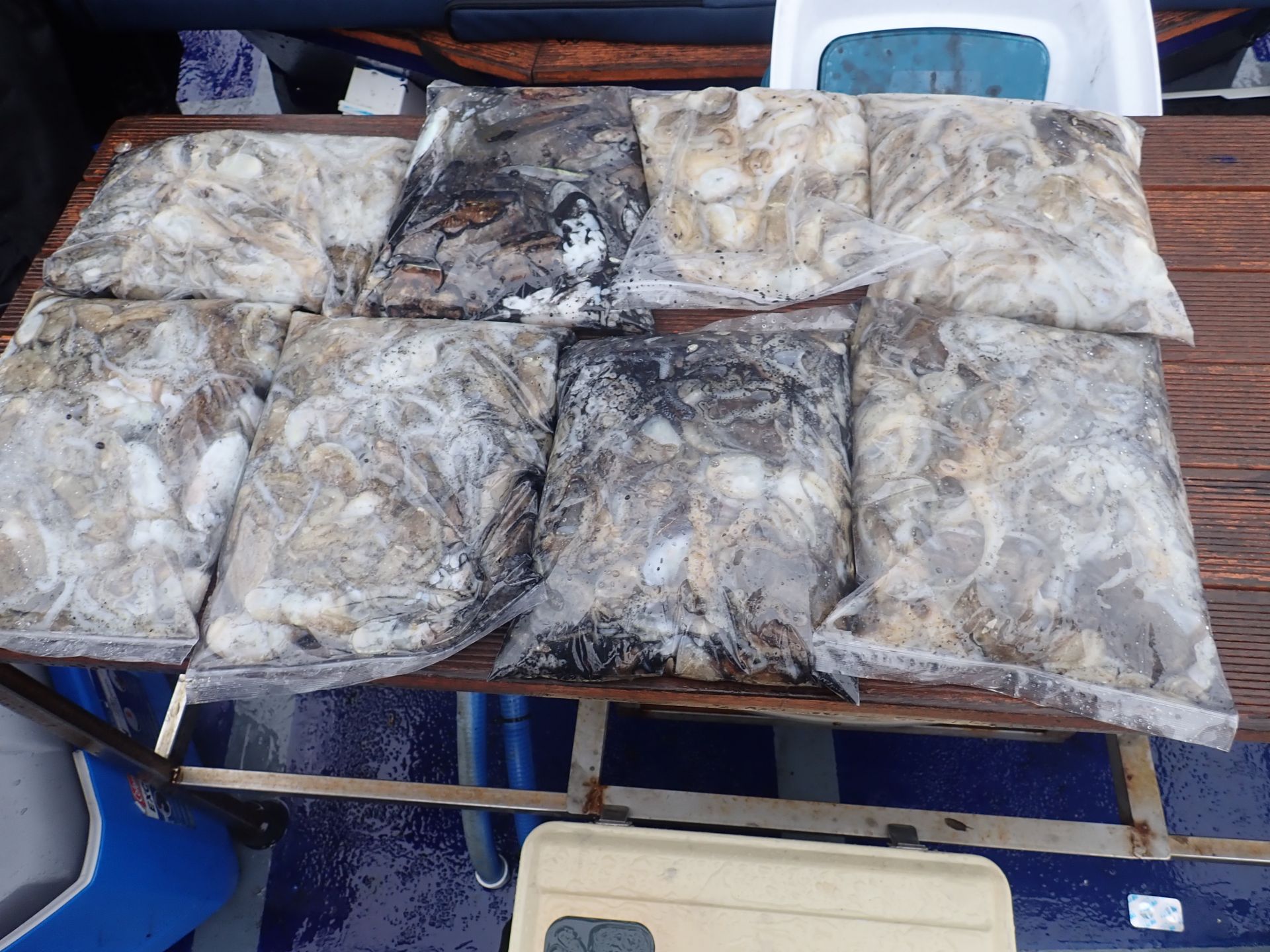 2021년09월29일 주꾸미출조