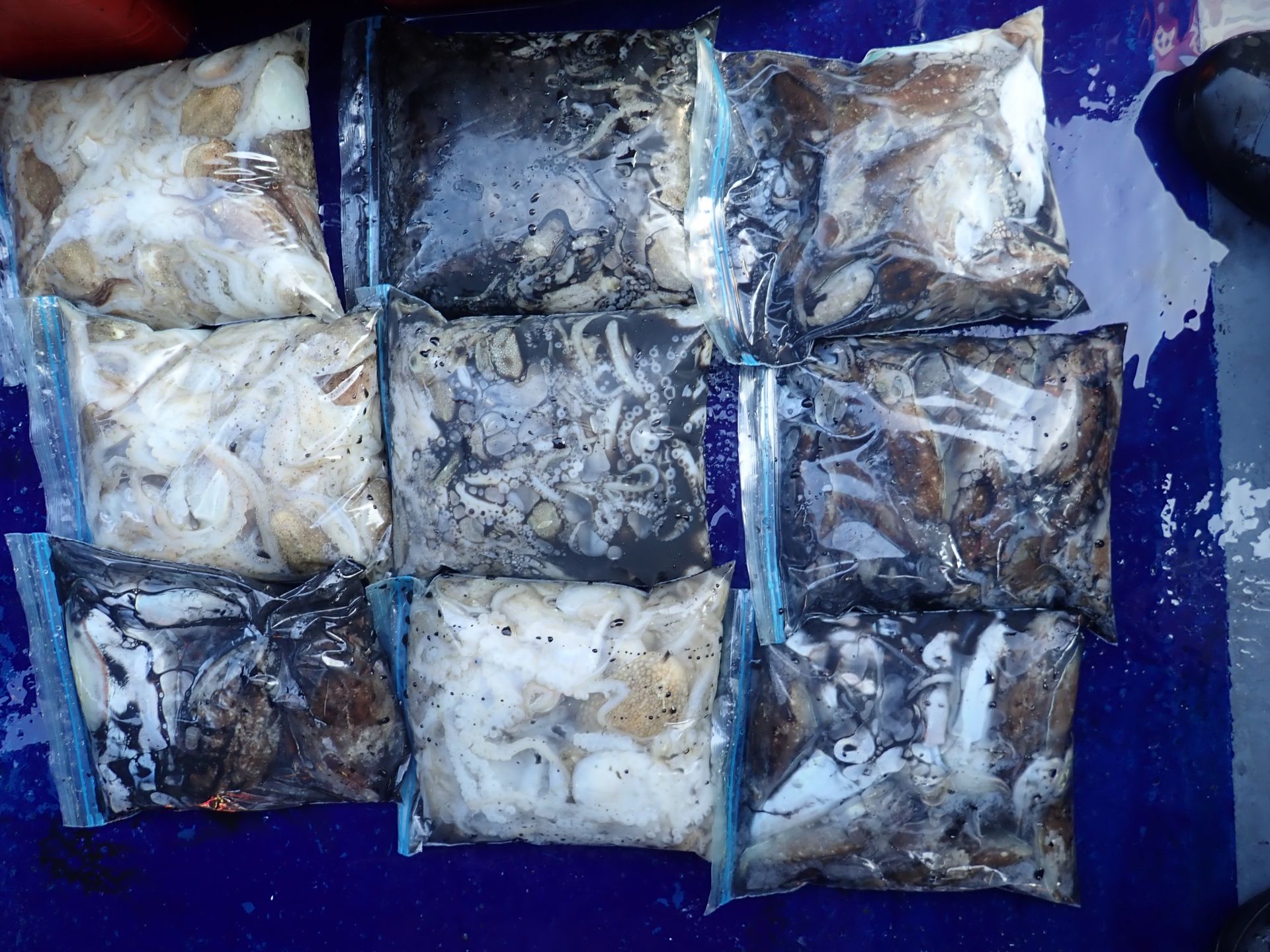 2021년09월30일 주꾸출조