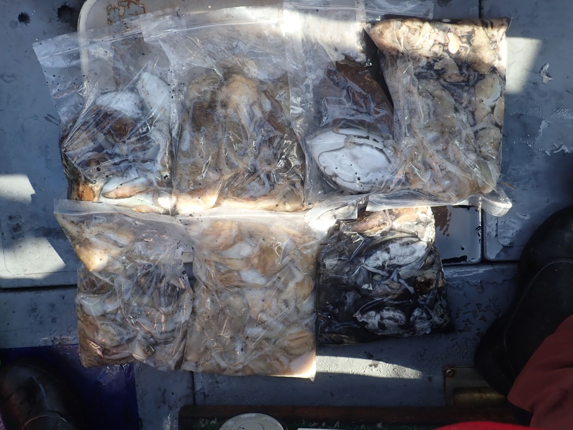 2021년10월02일 주꾸미출조