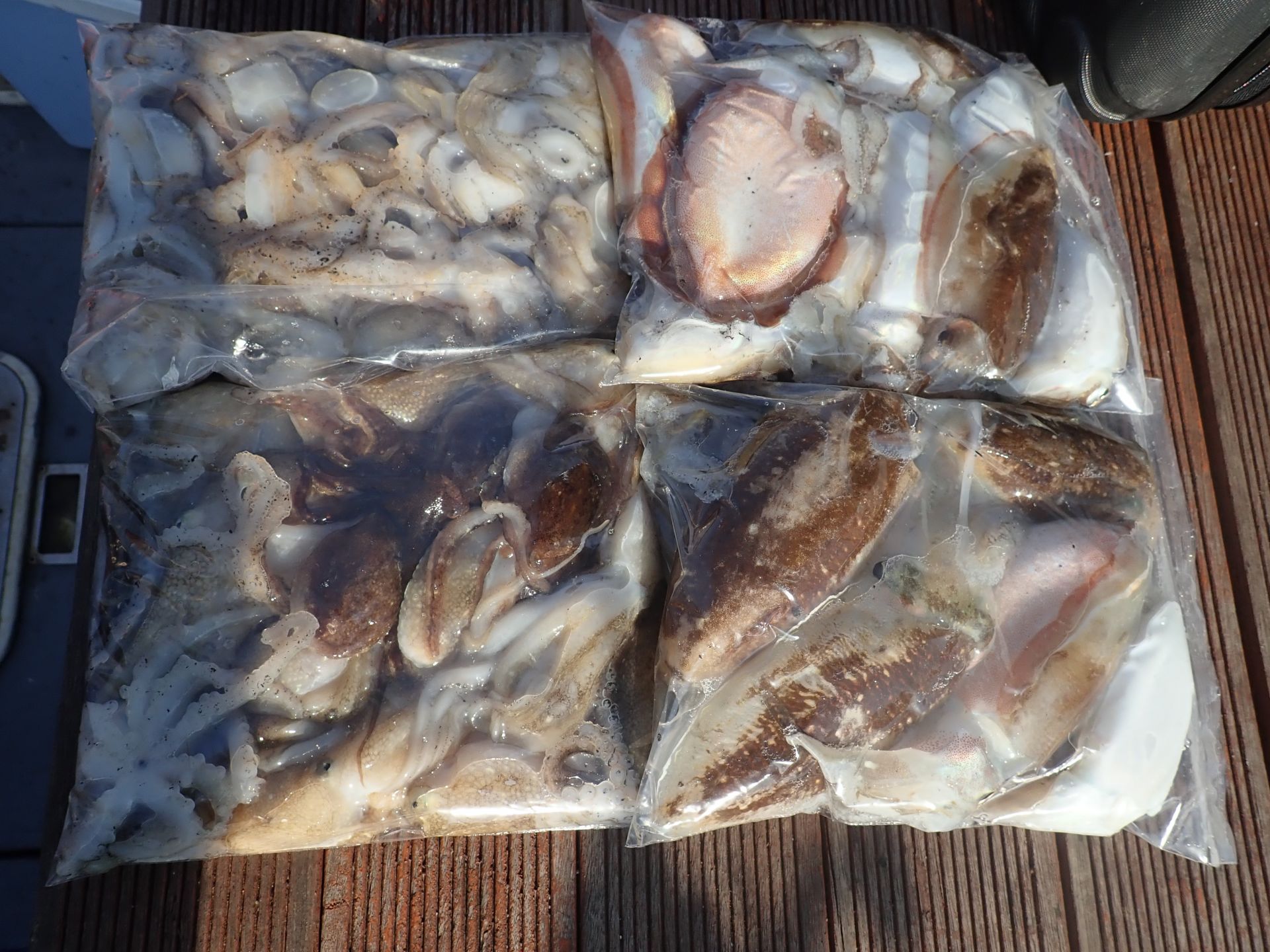 2021년10월09일 주꾸미출조