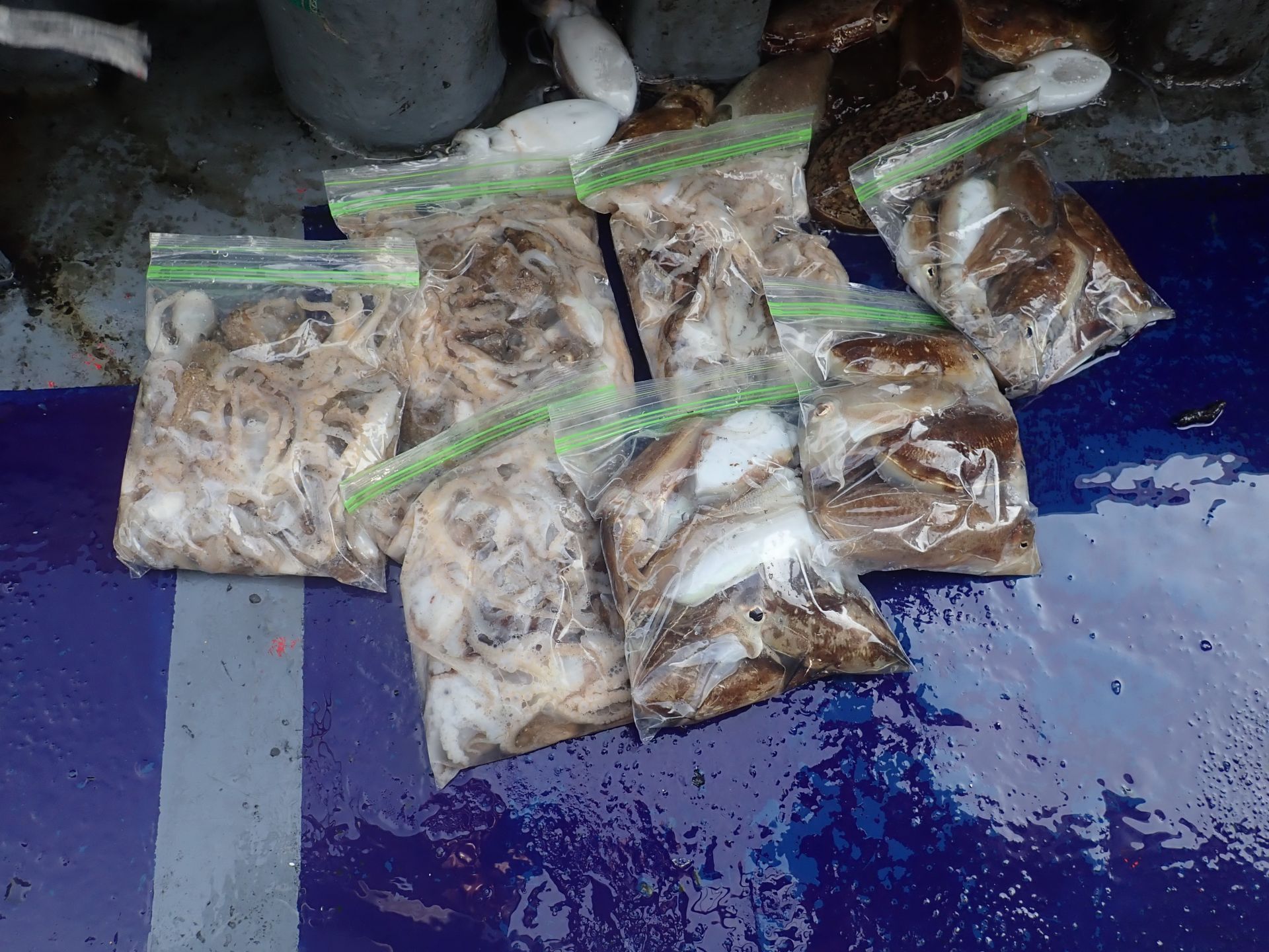 2021년10월04일 주꾸미출조