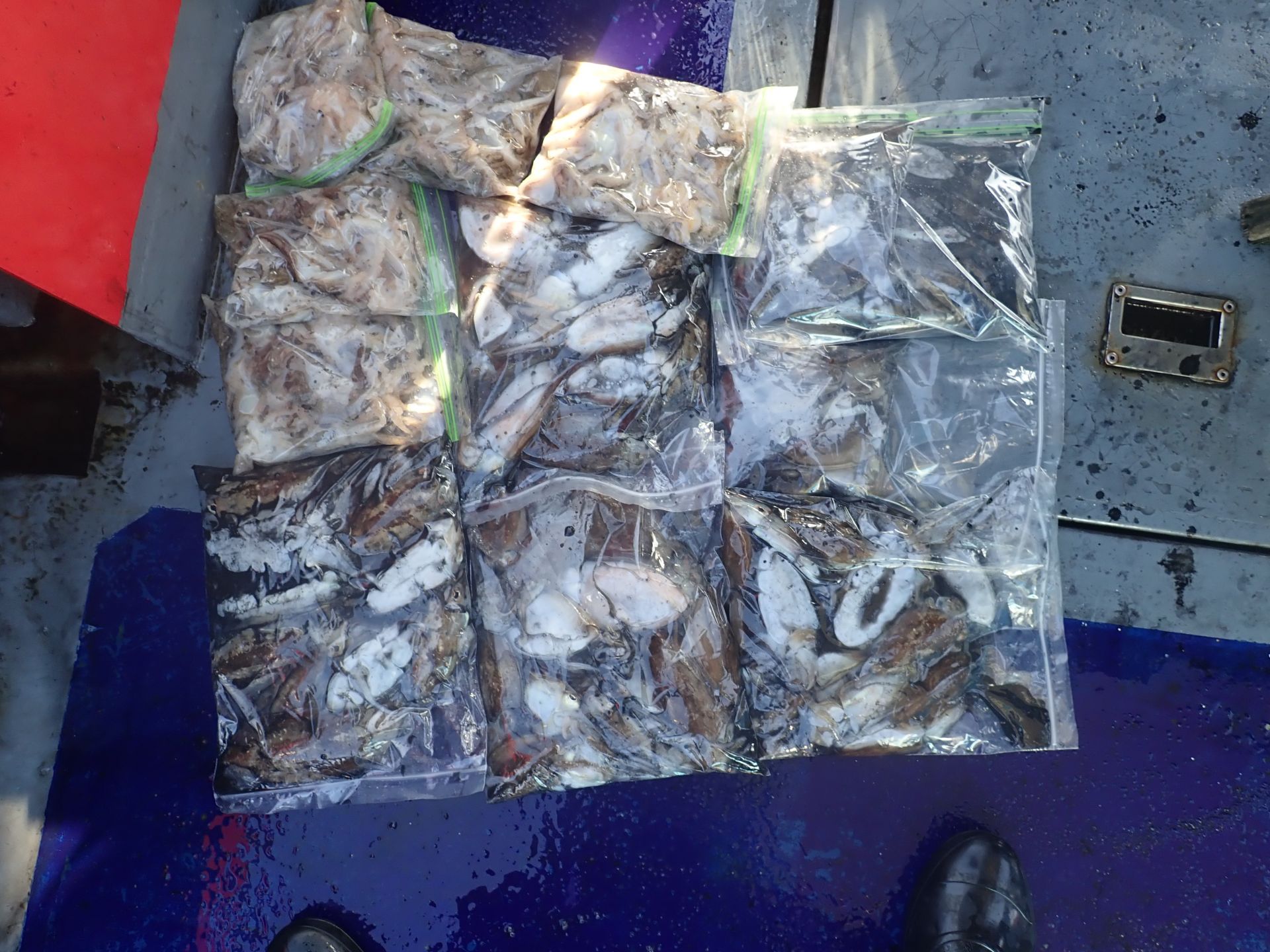 2021년10월05일 주꾸미출조