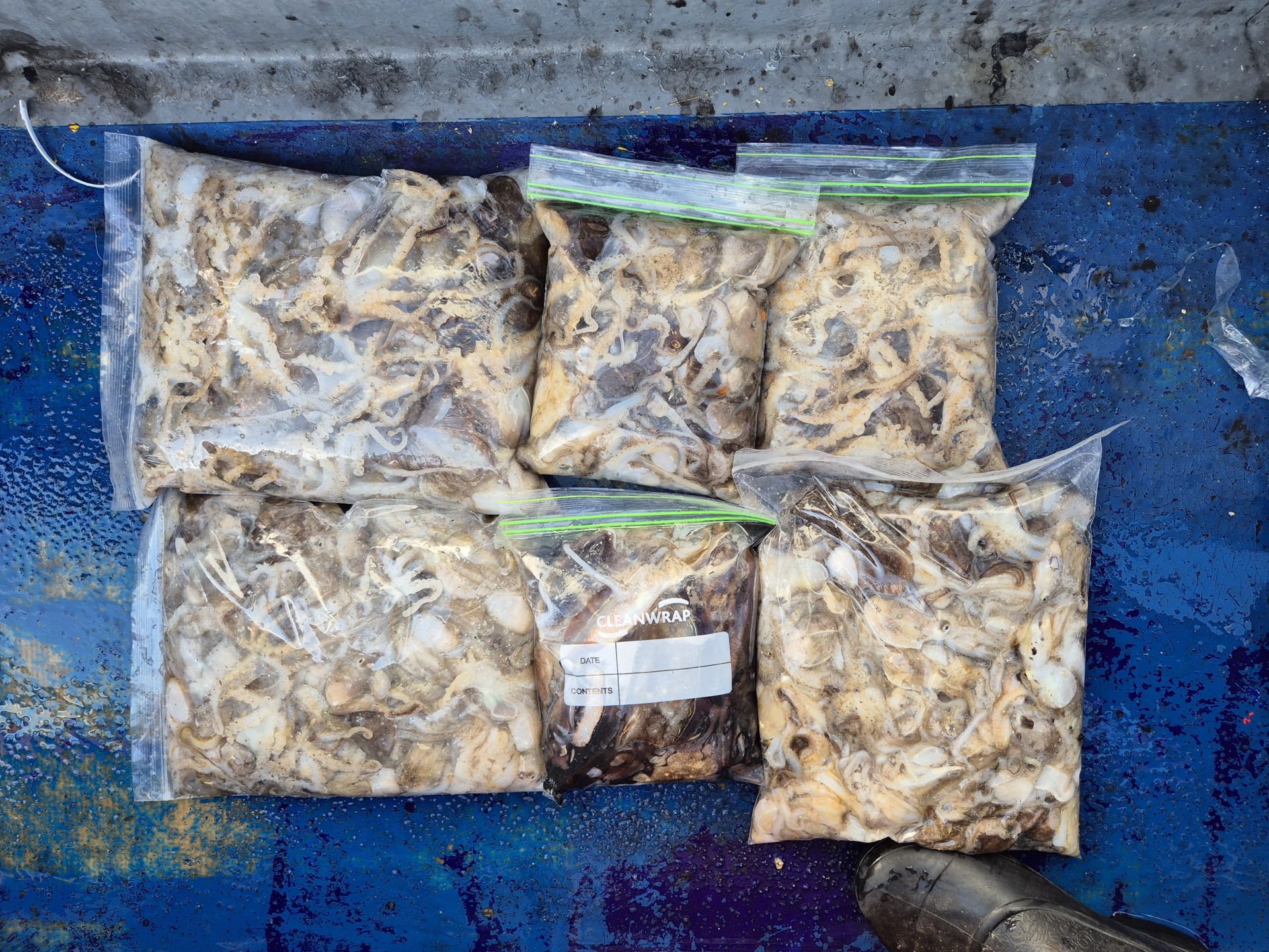 2025년09월30일 주꾸미 출조