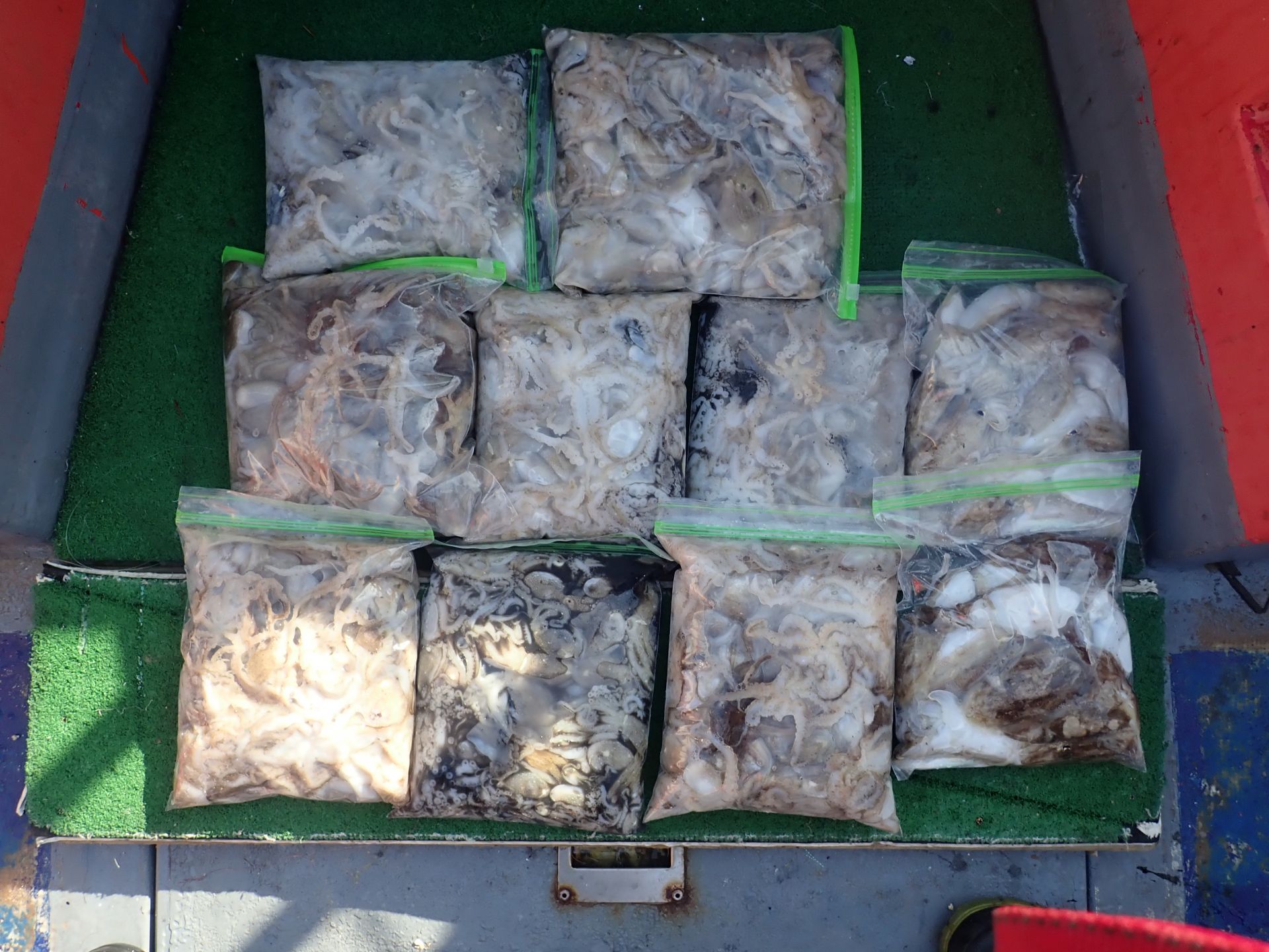 2025년09월18일 주꾸미 출조