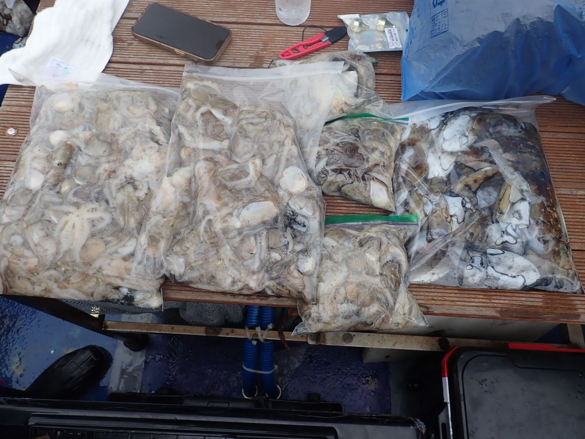 2025년09월29일 주꾸미 출조