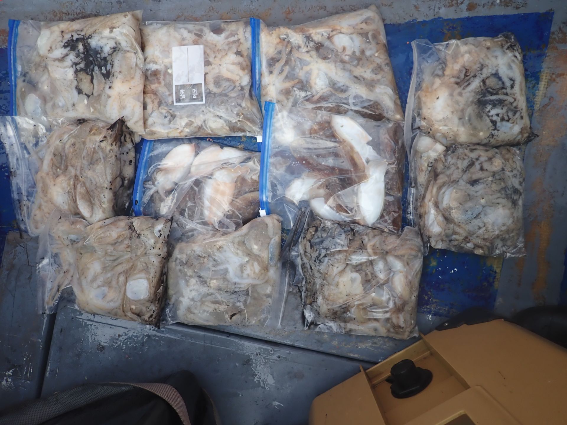 2025년09월14일 주꾸미 출조