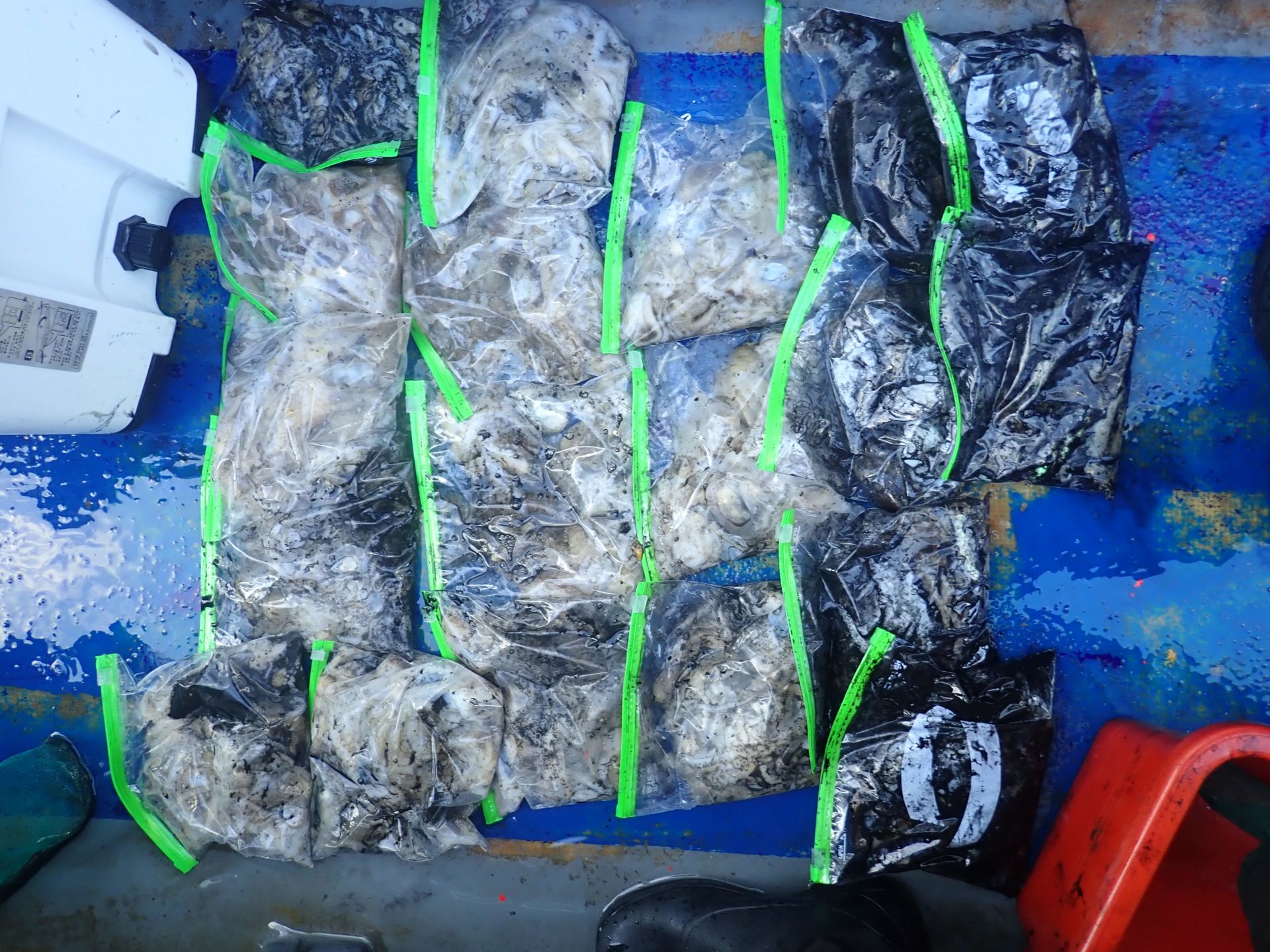 2025년09월20일 주꾸미 출조