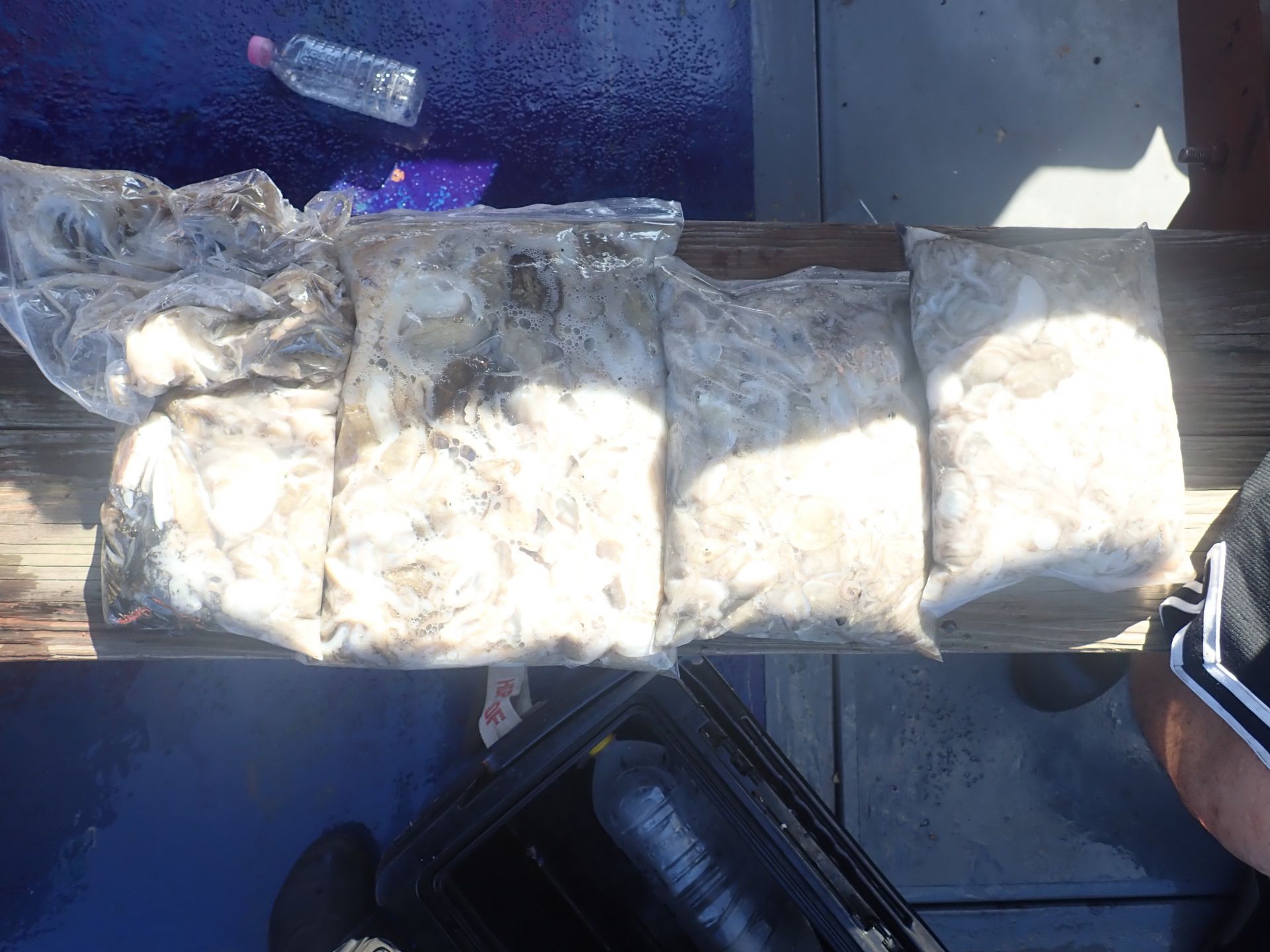 2025년09월05일 주꾸미 출조